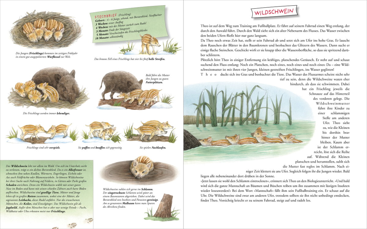 Innenansicht Beispiel aus dem Buch: Komm mit zu den Tierkindern!