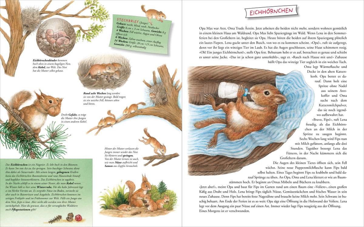 Innenansicht Beispiel aus dem Buch: Komm mit zu den Tierkindern!