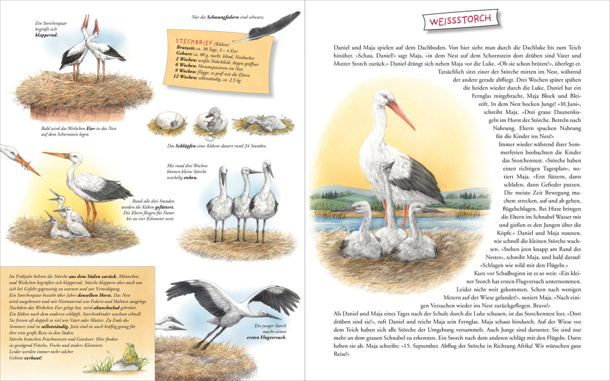 Innenansicht Beispiel aus dem Buch: Komm mit zu den Tierkindern!