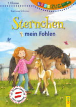 Produktcover des Buches: LESEZUG/1. Klasse: Sternchen