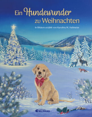 Produktcover des Buches: Ein Hundewunder zu Weihnachten