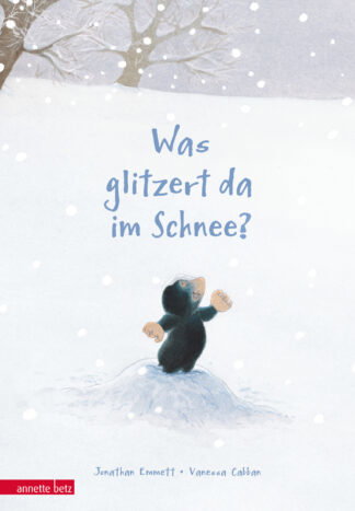 Produktcover des Buches: Was glitzert da im Schnee?