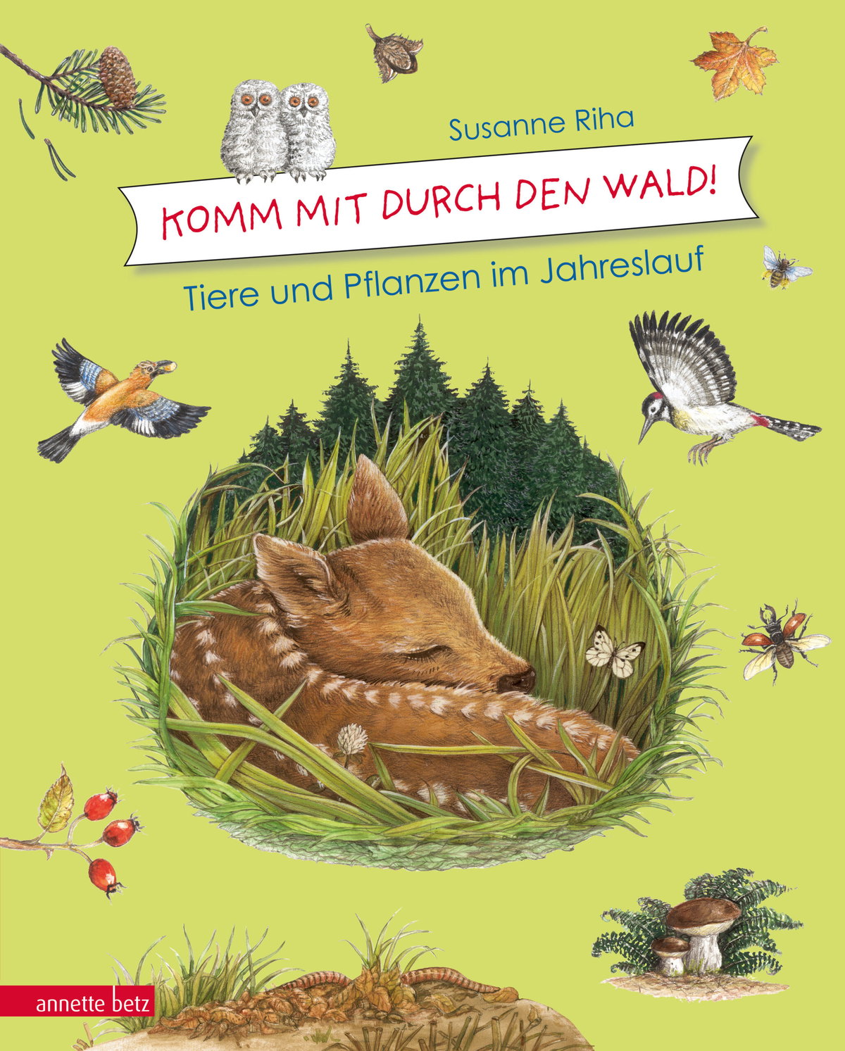 Produktcover des Buches: Komm mit durch den Wald