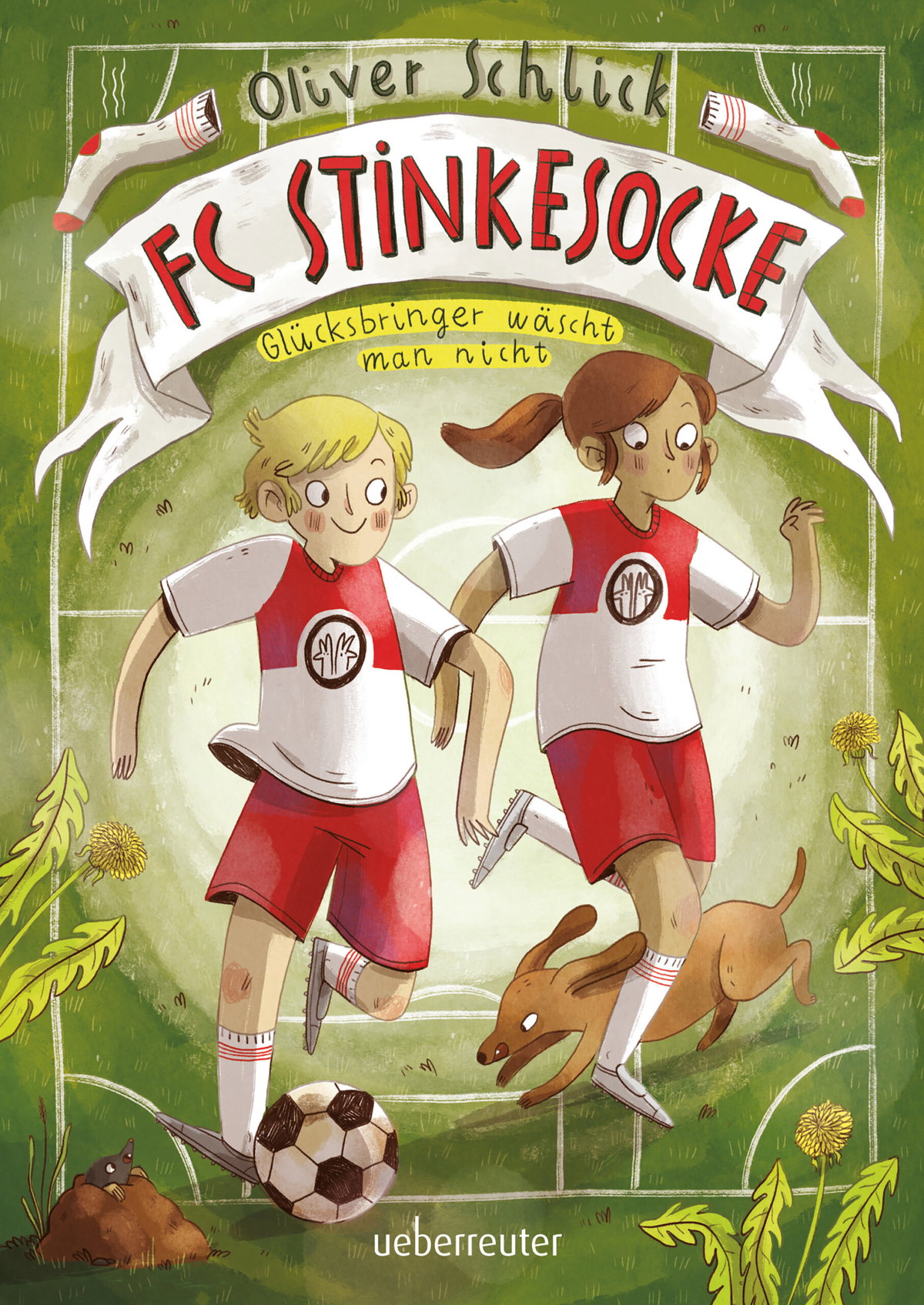 Produktcover des Buches: FC Stinkesocke