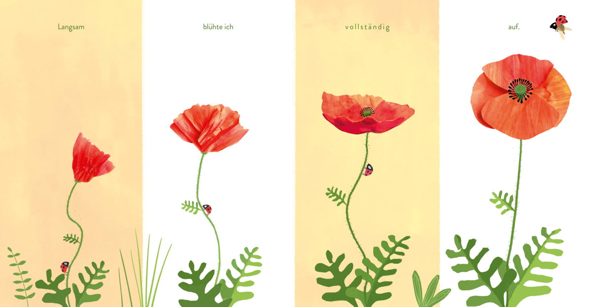 große Welt