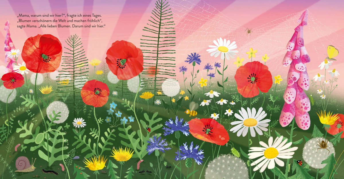 Innenansicht Beispiel aus dem Buch: Kleine Blume