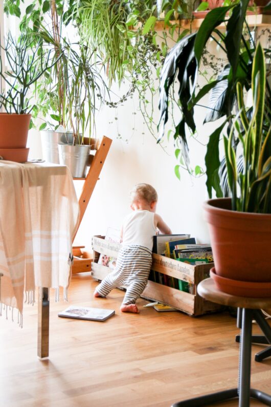 Ein kleines Kind sucht in einem lichtdurchfluteten Raum in einer Kiste voller Bücher nach einem Bilderbuch. 