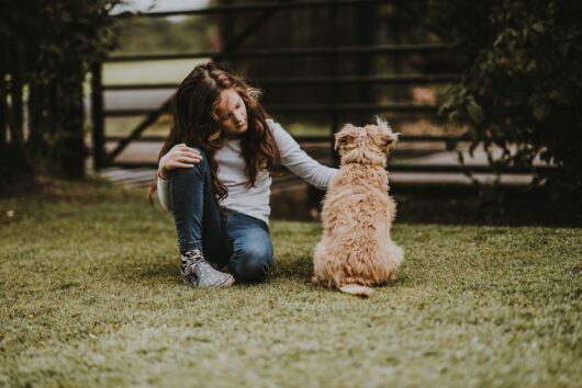 Volksschulkind sitzt mit einem Hund in einer Wiese. Beim richtigen Lernen ist es wichtig, Bewegung - am besten im Grünen - einzubauen! 